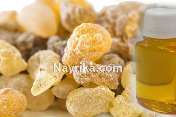 روغن سقز, روغن سقز چیست, خواص روغن سقز, مضرات روغن سقز, طرز تهیه روغن سقز, خواص روغن سقز برای پوست صورت, روغن سقز برای کمردرد, روغن سقز برای مو, روغن سقز برای واریس, طریقه مصرف روغن سقز, طرز تهیه روغن سقز در خانه روغن سقز, روغن سقز چیست, خواص روغن سقز, مضرات روغن سقز, طرز تهیه روغن سقز, خواص روغن سقز برای پوست صورت, روغن سقز برای کمردرد, روغن سقز برای مو, روغن سقز برای واریس, طریقه مصرف روغن سقز, طرز تهیه روغن سقز در خانه
