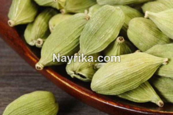 هل سبز, خواص هل در طب سنتی, مضرات هل, طبع هل سبز چیست, طریقه مصرف هل سبز, خواص هل سبز برای لاغری, خواص چای هل و دارچین, درخت هل, قیمت هل سبز, ضررهای هل سبز, هل سبز سرد است یا گرم, طریقه مصرف هل, خواص هل برای لاغری, ضررهای هل سبز, هل سبز و لاغری هل سبز, خواص هل در طب سنتی, مضرات هل, طبع هل سبز چیست, طریقه مصرف هل سبز, خواص هل سبز برای لاغری, خواص چای هل و دارچین, درخت هل, قیمت هل سبز, ضررهای هل سبز, هل سبز سرد است یا گرم, طریقه مصرف هل, خواص هل برای لاغری, ضررهای هل سبز, هل سبز و لاغری