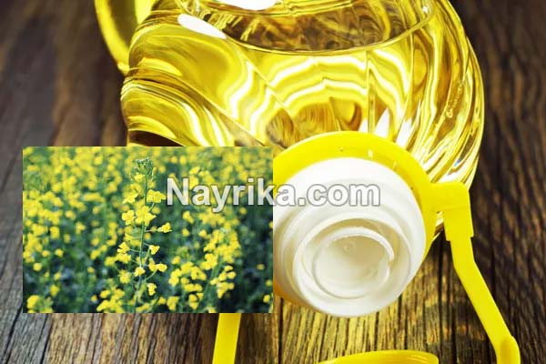 روغن کلزا, روغن کلزا چیست, طبع روغن کلزا, خواص روغن کلزا, خواص روغن کلزا از نظر طب سنتی, خواص روغن کلزا پرس سرد, مضرات روغن کلزا, طریقه مصرف روغن کلزا, طرز تهیه روغن کلزا, روغن کلزا اویلا, روغن کلزا طبیعت