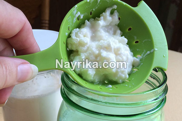 کفیر, کفیر چیست, کفیر در ایران, خواص کفیر در طب سنتی, مضرات کفیر, طبع کفیر, خواص کفیر برای پوست, خواص کفیر کفیر, کفیر چیست, کفیر در ایران, خواص کفیر در طب سنتی, مضرات کفیر, طبع کفیر, خواص کفیر برای پوست, خواص کفیر
