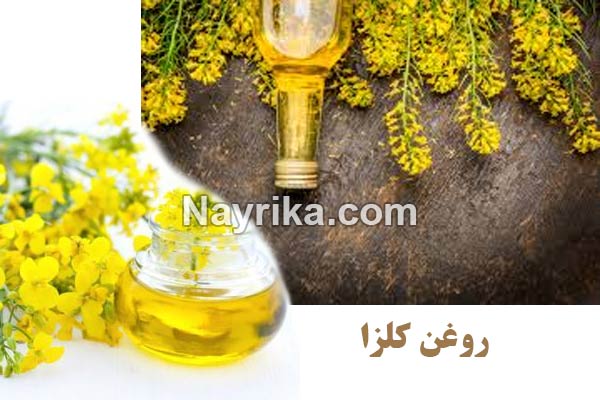 روغن کلزا, روغن کلزا چیست, طبع روغن کلزا, خواص روغن کلزا, خواص روغن کلزا از نظر طب سنتی, خواص روغن کلزا پرس سرد, مضرات روغن کلزا, طریقه مصرف روغن کلزا, طرز تهیه روغن کلزا, روغن کلزا اویلا, روغن کلزا طبیعت