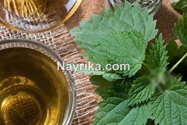 گزنه, خواص گزنه, خواص روغن گزنه, گزنه برای مو, خواص گزنه لاغری, خواص گزنه برای رحم, مضرات گزنه, طبع گزنه, انواع گزنه, گزنه خشک, روغن گزنه, کپسول گزنه, گزنه دو پایه, درمان گزنه زدگی, خواص گزنه برای مو گزنه, خواص گزنه, گزنه برای مو, خواص گزنه لاغری, خواص گزنه برای رحم, مضرات گزنه, طبع گزنه, انواع گزنه, گزنه خشک, روغن گزنه, کپسول گزنه, گزنه دو پایه, درمان گزنه زدگی, خواص گزنه برای مو