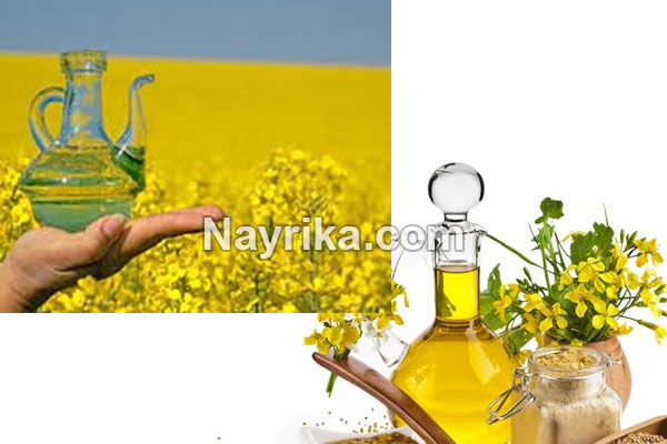 روغن کلزا, روغن کلزا چیست, طبع روغن کلزا, خواص روغن کلزا, خواص روغن کلزا از نظر طب سنتی, خواص روغن کلزا پرس سرد, مضرات روغن کلزا, طریقه مصرف روغن کلزا, طرز تهیه روغن کلزا, روغن کلزا اویلا, روغن کلزا طبیعت