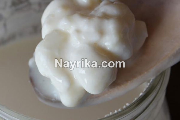 قارچ کفیر, قارچ کفیر چیست, خواص قارچ کفیر, مضرات قارچ کفیر, نگهداری قارچ کفیر, نشانه های خراب شدن قارچ کفیر, علت ریز شدن قارچ کفیر, قارچ کفیر و کامبوجا, قیمت هر کیلو قارچ کفیر, عکس قارچ کفیر قارچ کفیر, قارچ کفیر چیست, خواص قارچ کفیر, مضرات قارچ کفیر, نگهداری قارچ کفیر, نشانه های خراب شدن قارچ کفیر, علت ریز شدن قارچ کفیر, قارچ کفیر و کامبوجا, قیمت هر کیلو قارچ کفیر, عکس قارچ کفیر