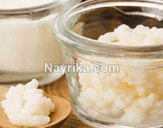قارچ کفیر: خواص و مضرات و نگهداری / نشانه های خراب شدن قارچ کفیر + عکس قارچ کفیر: خواص و مضرات و نگهداری / نشانه های خراب شدن قارچ کفیر + عکس