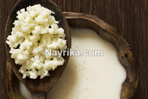 قارچ کفیر, قارچ کفیر چیست, خواص قارچ کفیر, مضرات قارچ کفیر, نگهداری قارچ کفیر, نشانه های خراب شدن قارچ کفیر, علت ریز شدن قارچ کفیر, قارچ کفیر و کامبوجا, قیمت هر کیلو قارچ کفیر, عکس قارچ کفیر قارچ کفیر, قارچ کفیر چیست, خواص قارچ کفیر, مضرات قارچ کفیر, نگهداری قارچ کفیر, نشانه های خراب شدن قارچ کفیر, علت ریز شدن قارچ کفیر, قارچ کفیر و کامبوجا, قیمت هر کیلو قارچ کفیر, عکس قارچ کفیر