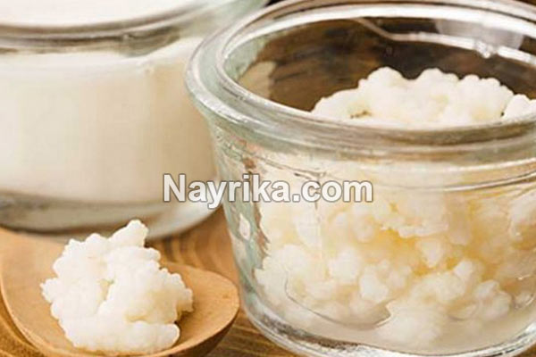قارچ کفیر, قارچ کفیر چیست, خواص قارچ کفیر, مضرات قارچ کفیر, نگهداری قارچ کفیر, نشانه های خراب شدن قارچ کفیر, علت ریز شدن قارچ کفیر, قارچ کفیر و کامبوجا, قیمت هر کیلو قارچ کفیر, عکس قارچ کفیر قارچ کفیر, قارچ کفیر چیست, خواص قارچ کفیر, مضرات قارچ کفیر, نگهداری قارچ کفیر, نشانه های خراب شدن قارچ کفیر, علت ریز شدن قارچ کفیر, قارچ کفیر و کامبوجا, قیمت هر کیلو قارچ کفیر, عکس قارچ کفیر