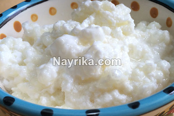 قارچ کفیر, قارچ کفیر چیست, خواص قارچ کفیر, مضرات قارچ کفیر, نگهداری قارچ کفیر, نشانه های خراب شدن قارچ کفیر, علت ریز شدن قارچ کفیر, قارچ کفیر و کامبوجا, قیمت هر کیلو قارچ کفیر, عکس قارچ کفیر قارچ کفیر, قارچ کفیر چیست, خواص قارچ کفیر, مضرات قارچ کفیر, نگهداری قارچ کفیر, نشانه های خراب شدن قارچ کفیر, علت ریز شدن قارچ کفیر, قارچ کفیر و کامبوجا, قیمت هر کیلو قارچ کفیر, عکس قارچ کفیر