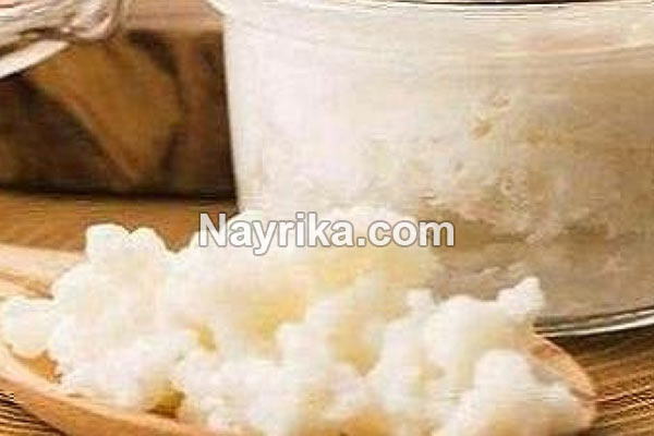 قارچ کفیر, قارچ کفیر چیست, خواص قارچ کفیر, مضرات قارچ کفیر, نگهداری قارچ کفیر, نشانه های خراب شدن قارچ کفیر, علت ریز شدن قارچ کفیر, قارچ کفیر و کامبوجا, قیمت هر کیلو قارچ کفیر, عکس قارچ کفیر قارچ کفیر, قارچ کفیر چیست, خواص قارچ کفیر, مضرات قارچ کفیر, نگهداری قارچ کفیر, نشانه های خراب شدن قارچ کفیر, علت ریز شدن قارچ کفیر, قارچ کفیر و کامبوجا, قیمت هر کیلو قارچ کفیر, عکس قارچ کفیر