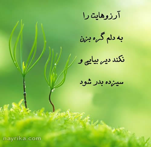 سیزده بدر, تبریک سیزده بدر, سیزده بدر مبارک, متن سیزده بدر, تبریک سیزده بدر جدید, متن ادبی سیزده بدر, پیامک سیزده بدر, اس ام اس سیزده بدر, سیزده بدر 99, تبریک سیزده بدر 99, روز طبیعت, متن روز طبیعت, سیزده بدر 99, سیزده بدر 1399, روز طبیعت 99, فلسفه سیزده بدر, شعر سیزده بدر, روز طبیعت سیزده بدر, متن زیبا سیزده بدر, متن ادبی سیزده بدر, متن سیزده بدر جدید, متن سیزده بدری سیزده بدر, تبریک سیزده بدر, سیزده بدر مبارک, متن سیزده بدر, تبریک سیزده بدر جدید, متن ادبی سیزده بدر, پیامک سیزده بدر, اس ام اس سیزده بدر, سیزده بدر 99, تبریک سیزده بدر 99, روز طبیعت, متن روز طبیعت, سیزده بدر 99, سیزده بدر 1399, روز طبیعت 99, فلسفه سیزده بدر, شعر سیزده بدر, روز طبیعت سیزده بدر, متن زیبا سیزده بدر, متن ادبی سیزده بدر, متن سیزده بدر جدید, متن سیزده بدری