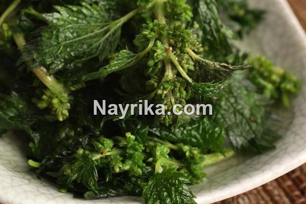 گزنه, خواص گزنه, خواص روغن گزنه, گزنه برای مو, خواص گزنه لاغری, خواص گزنه برای رحم, مضرات گزنه, طبع گزنه, انواع گزنه, گزنه خشک, روغن گزنه, کپسول گزنه, گزنه دو پایه, درمان گزنه زدگی, خواص گزنه برای مو گزنه, خواص گزنه, گزنه برای مو, خواص گزنه لاغری, خواص گزنه برای رحم, مضرات گزنه, طبع گزنه, انواع گزنه, گزنه خشک, روغن گزنه, کپسول گزنه, گزنه دو پایه, درمان گزنه زدگی, خواص گزنه برای مو
