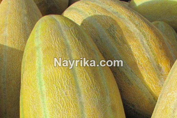 خربزه, خواص خربزه, مضرات خربزه, طبع خربزه, انواع خربزه در ایران, خربزه مشهدی, خربزه و عسل خربزه, خواص خربزه, مضرات خربزه, طبع خربزه, انواع خربزه در ایران, خربزه مشهدی, خربزه و عسل