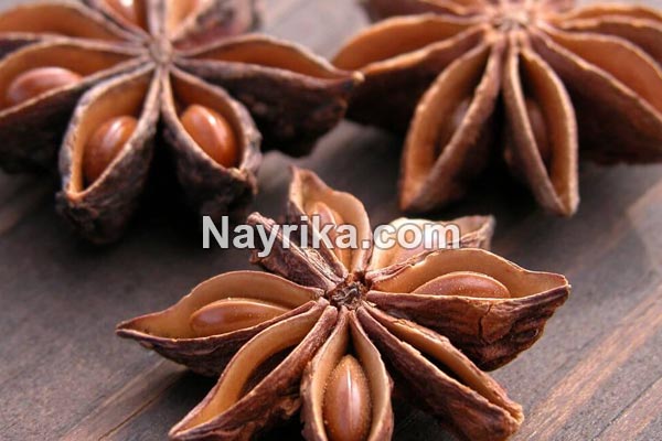 انیسون, خواص انیسون, مضرات انیسون, طبع انیسون, انیسون و لاغری, انیسون و قاعدگی, خواص دمنوش انیسون, عرق انیسون, خواص عرق انیسون, مضرات عرق انیسون, عرق انیسون برای کودکان, عرق انیسون و انجیر خشک, طریقه مصرف عرق انیسون, طرز مصرف بادیان, عکس گیاه انیسون, بادیان رومی, انیسون در طب اسلامی انیسون, خواص انیسون, مضرات انیسون, طبع انیسون, انیسون و لاغری, انیسون و قاعدگی, خواص دمنوش انیسون, عرق انیسون, خواص عرق انیسون, مضرات عرق انیسون, عرق انیسون برای کودکان, عرق انیسون و انجیر خشک, طریقه مصرف عرق انیسون, طرز مصرف بادیان, عکس گیاه انیسون, بادیان رومی, انیسون در طب اسلامی