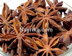 انیسون (بادیان رومی) : خواص، مضرات و طبع انیسون و عرق انیسون و طریقه مصرف انیسون (بادیان رومی) : خواص، مضرات و طبع انیسون و عرق انیسون و طریقه مصرف