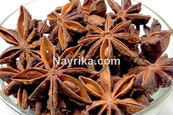 انیسون, خواص انیسون, مضرات انیسون, طبع انیسون, انیسون و لاغری, انیسون و قاعدگی, خواص دمنوش انیسون, عرق انیسون, خواص عرق انیسون, مضرات عرق انیسون, عرق انیسون برای کودکان, عرق انیسون و انجیر خشک, طریقه مصرف عرق انیسون, طرز مصرف بادیان, عکس گیاه انیسون, بادیان رومی, انیسون در طب اسلامی انیسون, خواص انیسون, مضرات انیسون, طبع انیسون, انیسون و لاغری, انیسون و قاعدگی, خواص دمنوش انیسون, عرق انیسون, خواص عرق انیسون, مضرات عرق انیسون, عرق انیسون برای کودکان, عرق انیسون و انجیر خشک, طریقه مصرف عرق انیسون, طرز مصرف بادیان, عکس گیاه انیسون, بادیان رومی, انیسون در طب اسلامی