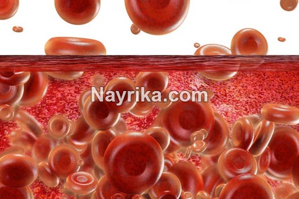 چربی خون, علائم چربی خون, علائم چربی خون عصبی, درمان خانگی چربی خون, درمان چربی خون در طب سنتی, چربی خون به انگلیسی, برای کاهش چربی خون چه بخوریم, بهترین دمنوش برای چربی خون, داروی چربی خون, درمان قطعی چربی خون, درمان چربی خون چربی خون, علائم چربی خون, علائم چربی خون عصبی, درمان خانگی چربی خون, درمان چربی خون در طب سنتی, چربی خون به انگلیسی, برای کاهش چربی خون چه بخوریم, بهترین دمنوش برای چربی خون, داروی چربی خون, درمان قطعی چربی خون, درمان چربی خون