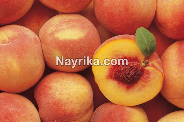 هلو, خواص هلو, مضرات هلو, طبع هلو, خواص هلو برای پوست, خواص هلو برای کودکان, خواص هلو برای سرماخوردگی, هلو در بارداری, خواص هلو برای نوزادان هلو, خواص هلو, مضرات هلو, طبع هلو, خواص هلو برای پوست, خواص هلو برای کودکان, خواص هلو برای سرماخوردگی, هلو در بارداری, خواص هلو برای نوزادان