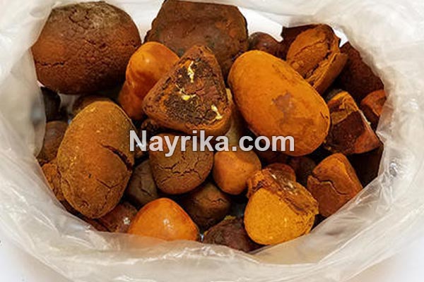 سنگ کیسه صفرا, علت سنگ کیسه صفرا, عوارض سنگ کیسه صفرا, کپسول دفع سنگ کیسه صفرا, ایا سنگ کیسه صفرا خطرناک است, درمان سنگ کیسه صفرا, درمان سنگ کیسه صفرا در طب سنتی, درمان سنگ کیسه صفرا با لیزر, اندازه طبیعی سنگ کیسه صفرا, راههای جلوگیری از تشکیل سنگ کیسه صفرا, درمان سنگ کیسه صفرا دکتر روازاده سنگ کیسه صفرا, علت سنگ کیسه صفرا, عوارض سنگ کیسه صفرا, کپسول دفع سنگ کیسه صفرا, ایا سنگ کیسه صفرا خطرناک است, درمان سنگ کیسه صفرا, درمان سنگ کیسه صفرا در طب سنتی, درمان سنگ کیسه صفرا با لیزر, اندازه طبیعی سنگ کیسه صفرا, راههای جلوگیری از تشکیل سنگ کیسه صفرا, درمان سنگ کیسه صفرا دکتر روازاده