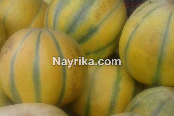 خربزه, خواص خربزه, مضرات خربزه, طبع خربزه, انواع خربزه در ایران, خربزه مشهدی, خربزه و عسل خربزه, خواص خربزه, مضرات خربزه, طبع خربزه, انواع خربزه در ایران, خربزه مشهدی, خربزه و عسل
