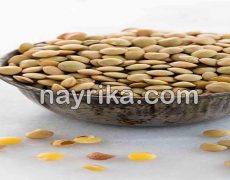 عدس: خواص، مضرات، طبع / خواص عدسی در لاغری / خواص عدس در بدنسازی / دال عدس چیست / مضرات دال عدس