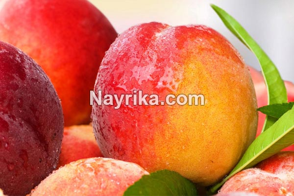 هلو, خواص هلو, مضرات هلو, طبع هلو, خواص هلو برای پوست, خواص هلو برای کودکان, خواص هلو برای سرماخوردگی, هلو در بارداری, خواص هلو برای نوزادان هلو, خواص هلو, مضرات هلو, طبع هلو, خواص هلو برای پوست, خواص هلو برای کودکان, خواص هلو برای سرماخوردگی, هلو در بارداری, خواص هلو برای نوزادان