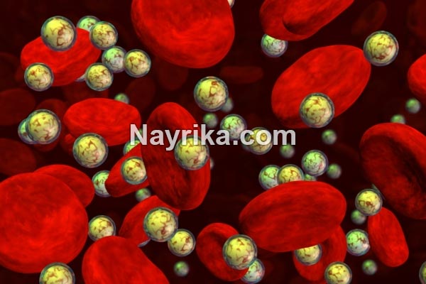چربی خون, علائم چربی خون, علائم چربی خون عصبی, درمان خانگی چربی خون, درمان چربی خون در طب سنتی, چربی خون به انگلیسی, برای کاهش چربی خون چه بخوریم, بهترین دمنوش برای چربی خون, داروی چربی خون, درمان قطعی چربی خون, درمان چربی خون چربی خون, علائم چربی خون, علائم چربی خون عصبی, درمان خانگی چربی خون, درمان چربی خون در طب سنتی, چربی خون به انگلیسی, برای کاهش چربی خون چه بخوریم, بهترین دمنوش برای چربی خون, داروی چربی خون, درمان قطعی چربی خون, درمان چربی خون