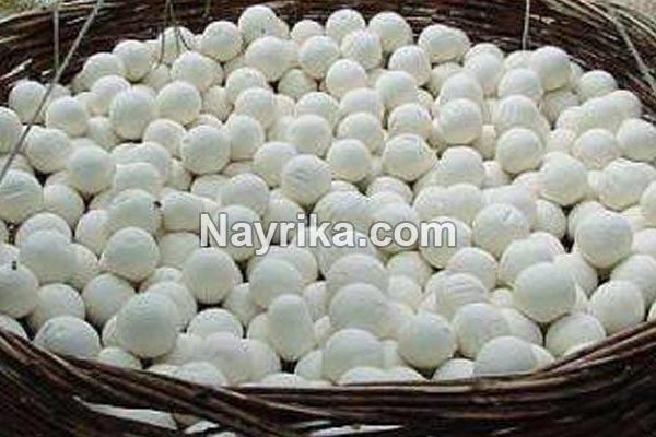کشک, کشک چیست, خواص کشک, مضرات کشک, طبع کشک, طرز تهیه کشک مایع, ارزش غذایی کشک, کشک ایرانی, خواص کشک در بدنسازی, چگونه کشک خشک را آب کنیم, کشک خشک چاق کننده است کشک, کشک چیست, خواص کشک, مضرات کشک, طبع کشک, طرز تهیه کشک مایع, ارزش غذایی کشک, کشک ایرانی, خواص کشک در بدنسازی, چگونه کشک خشک را آب کنیم, کشک خشک چاق کننده است
