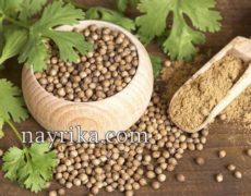 تخم گشنیز: خواص و مضرات تخم گشنیز / طبع تخم گشنیز