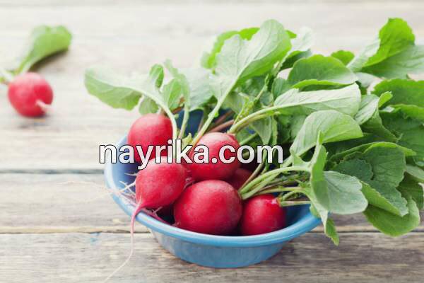 تربچه, خواص تربچه, مضرات تربچه, طبع تربچه, خواص برگ تربچه, ترب قرمز در بارداری, ترب قرمز و سنگ کلیه, کاشت تربچه, تربچه سفید, خواص تربچه نقلی, خواص برگ تربچه قرمز تربچه, خواص تربچه, مضرات تربچه, طبع تربچه, خواص برگ تربچه, ترب قرمز در بارداری, ترب قرمز و سنگ کلیه, کاشت تربچه, تربچه سفید, خواص تربچه نقلی, خواص برگ تربچه قرمز