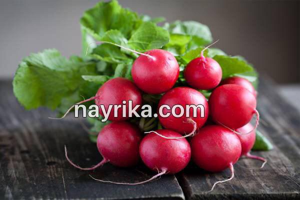 تربچه, خواص تربچه, مضرات تربچه, طبع تربچه, خواص برگ تربچه, ترب قرمز در بارداری, ترب قرمز و سنگ کلیه, کاشت تربچه, تربچه سفید, خواص تربچه نقلی, خواص برگ تربچه قرمز تربچه, خواص تربچه, مضرات تربچه, طبع تربچه, خواص برگ تربچه, ترب قرمز در بارداری, ترب قرمز و سنگ کلیه, کاشت تربچه, تربچه سفید, خواص تربچه نقلی, خواص برگ تربچه قرمز