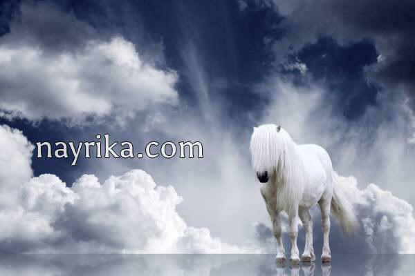 تعبیر خواب اسب, تعبیر خواب اسب سواری, تعبیر خواب اسب ذوالجناح, تعبیر خواب اسب سفید امام حسین, تعبیر خواب گله اسب, تعبیر خواب نوازش اسب, تعبیر خواب زایمان اسب, تعبیر خواب اسب دوسر تعبیر خواب اسب, تعبیر خواب اسب سواری, تعبیر خواب اسب ذوالجناح, تعبیر خواب اسب سفید امام حسین, تعبیر خواب گله اسب, تعبیر خواب نوازش اسب, تعبیر خواب زایمان اسب, تعبیر خواب اسب دوسر
