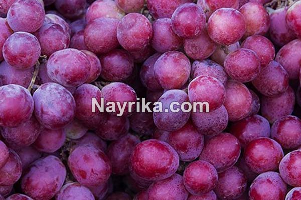تعبیر خواب انگور, تعبیر خواب کلی انگور, تعبیر خواب انگور برای زن باردار, تعبیر خواب خوشه انگور سبز, تعبیر خواب دادن انگور به دیگران, تعبیر خواب شراب انگور تعبیر خواب انگور, تعبیر خواب کلی انگور, تعبیر خواب انگور برای زن باردار, تعبیر خواب خوشه انگور سبز, تعبیر خواب دادن انگور به دیگران, تعبیر خواب شراب انگور