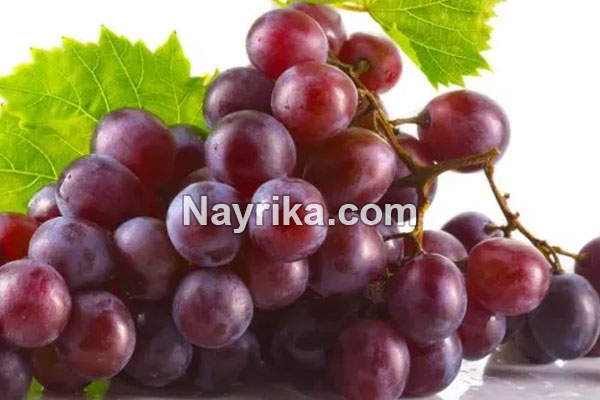 تعبیر خواب انگور, تعبیر خواب کلی انگور, تعبیر خواب انگور برای زن باردار, تعبیر خواب خوشه انگور سبز, تعبیر خواب دادن انگور به دیگران, تعبیر خواب شراب انگور تعبیر خواب انگور, تعبیر خواب کلی انگور, تعبیر خواب انگور برای زن باردار, تعبیر خواب خوشه انگور سبز, تعبیر خواب دادن انگور به دیگران, تعبیر خواب شراب انگور
