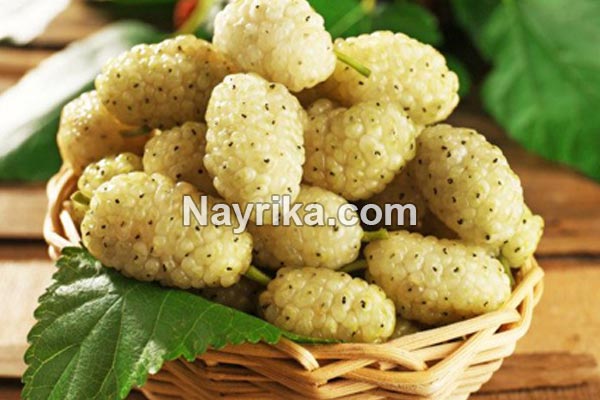 تعبیر خواب توت, تعبیر خواب کلی توت, تعبیر خواب توت کندن از درخت, تعبیر خواب توت سفید درشت, تعبیر خواب توت سفید ابن سیرین, تعبیر خواب شاه توت شیرین تعبیر خواب توت, تعبیر خواب کلی توت, تعبیر خواب توت کندن از درخت, تعبیر خواب توت سفید درشت, تعبیر خواب توت سفید ابن سیرین, تعبیر خواب شاه توت شیرین
