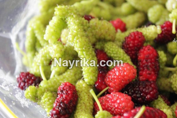 تعبیر خواب توت, تعبیر خواب کلی توت, تعبیر خواب توت کندن از درخت, تعبیر خواب توت سفید درشت, تعبیر خواب توت سفید ابن سیرین, تعبیر خواب شاه توت شیرین تعبیر خواب توت, تعبیر خواب کلی توت, تعبیر خواب توت کندن از درخت, تعبیر خواب توت سفید درشت, تعبیر خواب توت سفید ابن سیرین, تعبیر خواب شاه توت شیرین