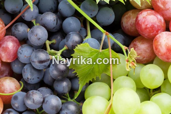 تعبیر خواب انگور, تعبیر خواب کلی انگور, تعبیر خواب انگور برای زن باردار, تعبیر خواب خوشه انگور سبز, تعبیر خواب دادن انگور به دیگران, تعبیر خواب شراب انگور تعبیر خواب انگور, تعبیر خواب کلی انگور, تعبیر خواب انگور برای زن باردار, تعبیر خواب خوشه انگور سبز, تعبیر خواب دادن انگور به دیگران, تعبیر خواب شراب انگور