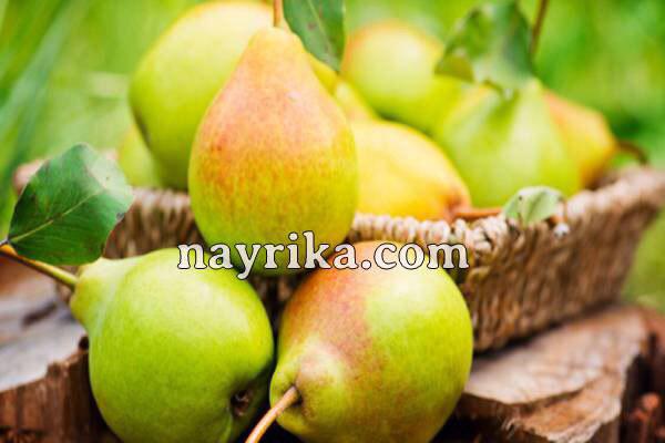 تعبیر خواب گلابی, تعبیر خواب کلی گلابی, تعبیر خواب گلابی کال, تعبیر خواب گلابی برای زن باردار, تعبیر خواب درخت گلابی و سیب, تعبیر خواب چیدن سیب و گلابی از درخت, تعبیر خواب گلابی کرم خورده, تعبیر خواب گلابی وحشی چیست, تعبیر خواب موز و گلابی تعبیر خواب گلابی, تعبیر خواب کلی گلابی, تعبیر خواب گلابی کال, تعبیر خواب گلابی برای زن باردار, تعبیر خواب درخت گلابی و سیب, تعبیر خواب چیدن سیب و گلابی از درخت, تعبیر خواب گلابی کرم خورده, تعبیر خواب گلابی وحشی چیست, تعبیر خواب موز و گلابی
