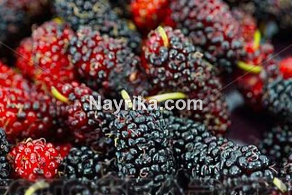 تعبیر خواب توت, تعبیر خواب کلی توت, تعبیر خواب توت کندن از درخت, تعبیر خواب توت سفید درشت, تعبیر خواب توت سفید ابن سیرین, تعبیر خواب شاه توت شیرین تعبیر خواب توت, تعبیر خواب کلی توت, تعبیر خواب توت کندن از درخت, تعبیر خواب توت سفید درشت, تعبیر خواب توت سفید ابن سیرین, تعبیر خواب شاه توت شیرین