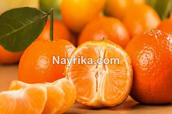 تعبیر خواب نارنگی, تعبیر خواب کلی نارنگی, تعبیر خواب نارنگی امام صادق, تعبیر خواب نارنگی خراب, تعبیر خواب نارنگی حضرت یوسف, تعبیر خواب نارنگی سبز, تعبیر خواب نارنگی شیرین تعبیر خواب نارنگی, تعبیر خواب کلی نارنگی, تعبیر خواب نارنگی امام صادق, تعبیر خواب نارنگی خراب, تعبیر خواب نارنگی حضرت یوسف, تعبیر خواب نارنگی سبز, تعبیر خواب نارنگی شیرین