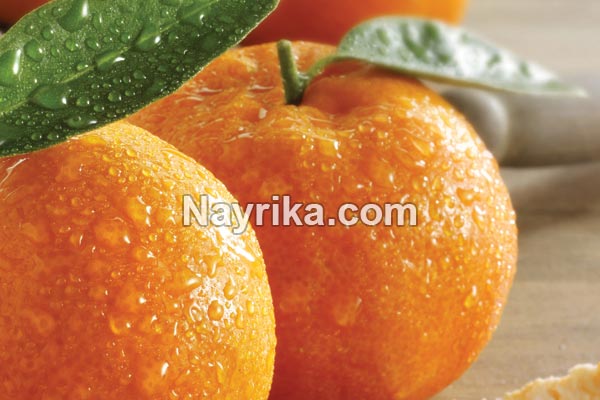 تعبیر خواب نارنگی, تعبیر خواب کلی نارنگی, تعبیر خواب نارنگی امام صادق, تعبیر خواب نارنگی خراب, تعبیر خواب نارنگی حضرت یوسف, تعبیر خواب نارنگی سبز, تعبیر خواب نارنگی شیرین تعبیر خواب نارنگی, تعبیر خواب کلی نارنگی, تعبیر خواب نارنگی امام صادق, تعبیر خواب نارنگی خراب, تعبیر خواب نارنگی حضرت یوسف, تعبیر خواب نارنگی سبز, تعبیر خواب نارنگی شیرین