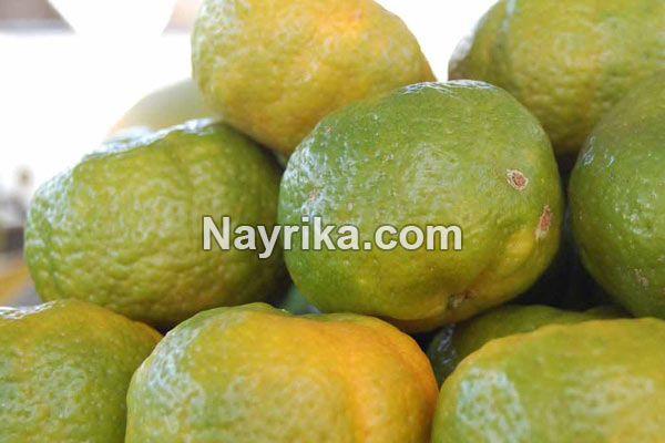 تعبیر خواب نارنگی, تعبیر خواب کلی نارنگی, تعبیر خواب نارنگی امام صادق, تعبیر خواب نارنگی خراب, تعبیر خواب نارنگی حضرت یوسف, تعبیر خواب نارنگی سبز, تعبیر خواب نارنگی شیرین تعبیر خواب نارنگی, تعبیر خواب کلی نارنگی, تعبیر خواب نارنگی امام صادق, تعبیر خواب نارنگی خراب, تعبیر خواب نارنگی حضرت یوسف, تعبیر خواب نارنگی سبز, تعبیر خواب نارنگی شیرین