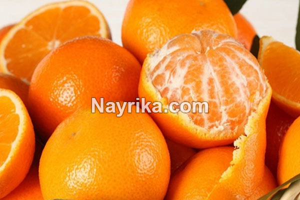 تعبیر خواب نارنگی, تعبیر خواب کلی نارنگی, تعبیر خواب نارنگی امام صادق, تعبیر خواب نارنگی خراب, تعبیر خواب نارنگی حضرت یوسف, تعبیر خواب نارنگی سبز, تعبیر خواب نارنگی شیرین تعبیر خواب نارنگی, تعبیر خواب کلی نارنگی, تعبیر خواب نارنگی امام صادق, تعبیر خواب نارنگی خراب, تعبیر خواب نارنگی حضرت یوسف, تعبیر خواب نارنگی سبز, تعبیر خواب نارنگی شیرین
