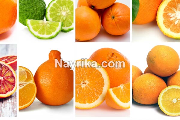 تعبیر خواب پرتقال, تعبیر خواب کلی پرتقال, تعبیر خواب پرتقال خوردن, تعبیر خواب پرتقال خونی, تعبیر خواب پرتقال پوست کنده, تعبیر خواب درخت پرتقال, تعبیر خواب پرتقال چیدن, تعبیر خواب پرتقال سبز تعبیر خواب پرتقال, تعبیر خواب کلی پرتقال, تعبیر خواب پرتقال خوردن, تعبیر خواب پرتقال خونی, تعبیر خواب پرتقال پوست کنده, تعبیر خواب درخت پرتقال, تعبیر خواب پرتقال چیدن, تعبیر خواب پرتقال سبز