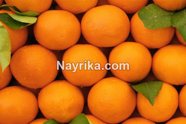 تعبیر خواب پرتقال, تعبیر خواب کلی پرتقال, تعبیر خواب پرتقال خوردن, تعبیر خواب پرتقال خونی, تعبیر خواب پرتقال پوست کنده, تعبیر خواب درخت پرتقال, تعبیر خواب پرتقال چیدن, تعبیر خواب پرتقال سبز تعبیر خواب پرتقال, تعبیر خواب کلی پرتقال, تعبیر خواب پرتقال خوردن, تعبیر خواب پرتقال خونی, تعبیر خواب پرتقال پوست کنده, تعبیر خواب درخت پرتقال, تعبیر خواب پرتقال چیدن, تعبیر خواب پرتقال سبز