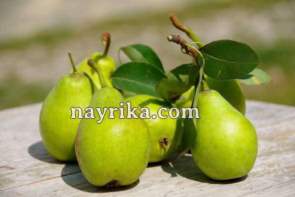 تعبیر خواب گلابی, تعبیر خواب کلی گلابی, تعبیر خواب گلابی کال, تعبیر خواب گلابی برای زن باردار, تعبیر خواب درخت گلابی و سیب, تعبیر خواب چیدن سیب و گلابی از درخت, تعبیر خواب گلابی کرم خورده, تعبیر خواب گلابی وحشی چیست, تعبیر خواب موز و گلابی تعبیر خواب گلابی, تعبیر خواب کلی گلابی, تعبیر خواب گلابی کال, تعبیر خواب گلابی برای زن باردار, تعبیر خواب درخت گلابی و سیب, تعبیر خواب چیدن سیب و گلابی از درخت, تعبیر خواب گلابی کرم خورده, تعبیر خواب گلابی وحشی چیست, تعبیر خواب موز و گلابی