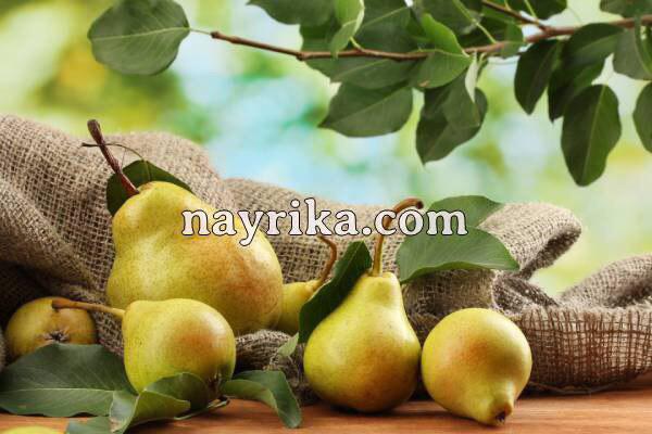 تعبیر خواب گلابی, تعبیر خواب کلی گلابی, تعبیر خواب گلابی کال, تعبیر خواب گلابی برای زن باردار, تعبیر خواب درخت گلابی و سیب, تعبیر خواب چیدن سیب و گلابی از درخت, تعبیر خواب گلابی کرم خورده, تعبیر خواب گلابی وحشی چیست, تعبیر خواب موز و گلابی تعبیر خواب گلابی, تعبیر خواب کلی گلابی, تعبیر خواب گلابی کال, تعبیر خواب گلابی برای زن باردار, تعبیر خواب درخت گلابی و سیب, تعبیر خواب چیدن سیب و گلابی از درخت, تعبیر خواب گلابی کرم خورده, تعبیر خواب گلابی وحشی چیست, تعبیر خواب موز و گلابی