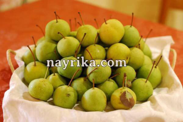 تعبیر خواب گلابی, تعبیر خواب کلی گلابی, تعبیر خواب گلابی کال, تعبیر خواب گلابی برای زن باردار, تعبیر خواب درخت گلابی و سیب, تعبیر خواب چیدن سیب و گلابی از درخت, تعبیر خواب گلابی کرم خورده, تعبیر خواب گلابی وحشی چیست, تعبیر خواب موز و گلابی تعبیر خواب گلابی, تعبیر خواب کلی گلابی, تعبیر خواب گلابی کال, تعبیر خواب گلابی برای زن باردار, تعبیر خواب درخت گلابی و سیب, تعبیر خواب چیدن سیب و گلابی از درخت, تعبیر خواب گلابی کرم خورده, تعبیر خواب گلابی وحشی چیست, تعبیر خواب موز و گلابی