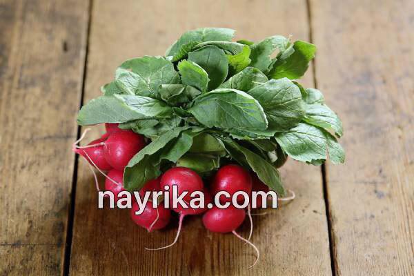 تربچه, خواص تربچه, مضرات تربچه, طبع تربچه, خواص برگ تربچه, ترب قرمز در بارداری, ترب قرمز و سنگ کلیه, کاشت تربچه, تربچه سفید, خواص تربچه نقلی, خواص برگ تربچه قرمز تربچه, خواص تربچه, مضرات تربچه, طبع تربچه, خواص برگ تربچه, ترب قرمز در بارداری, ترب قرمز و سنگ کلیه, کاشت تربچه, تربچه سفید, خواص تربچه نقلی, خواص برگ تربچه قرمز