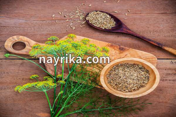 رازیانه, خواص رازیانه, مضرات رازیانه, دمنوش رازیانه, مضرات رازیانه برای زنان, خواص رازیانه برای پوست, رازیانه و قاعدگی, خواص رازیانه برای مردان, طریقه مصرف رازیانه, خواص رازیانه برای تخمدان, ماسک رازیانه و روغن زیتون رازیانه, خواص رازیانه, مضرات رازیانه, دمنوش رازیانه, مضرات رازیانه برای زنان, خواص رازیانه برای پوست, رازیانه و قاعدگی, خواص رازیانه برای مردان, طریقه مصرف رازیانه, خواص رازیانه برای تخمدان, ماسک رازیانه و روغن زیتون