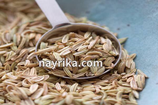 رازیانه, خواص رازیانه, مضرات رازیانه, دمنوش رازیانه, مضرات رازیانه برای زنان, خواص رازیانه برای پوست, رازیانه و قاعدگی, خواص رازیانه برای مردان, طریقه مصرف رازیانه, خواص رازیانه برای تخمدان, ماسک رازیانه و روغن زیتون رازیانه, خواص رازیانه, مضرات رازیانه, دمنوش رازیانه, مضرات رازیانه برای زنان, خواص رازیانه برای پوست, رازیانه و قاعدگی, خواص رازیانه برای مردان, طریقه مصرف رازیانه, خواص رازیانه برای تخمدان, ماسک رازیانه و روغن زیتون